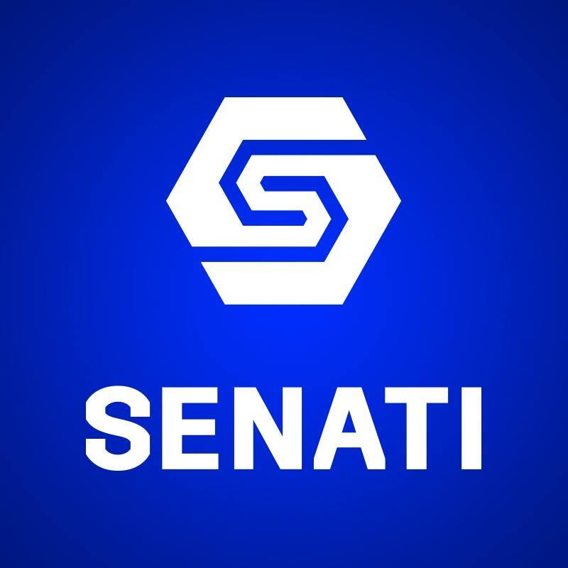 Técnico Profesional en Administración Industrial